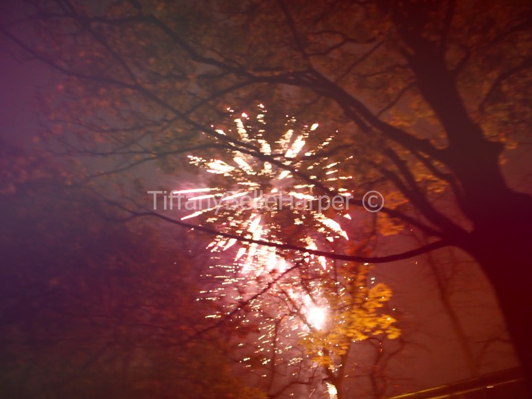 Bonfire Night by Tiffany Belle Harper